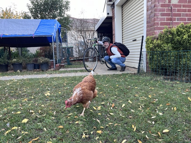 A photo of Johnny just about to leave the house on his bike. He's wrapped up real warm and there's a chicken (it's Marie) in the foreground.